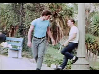 alpha blue archives - youthful lust, gay, porn