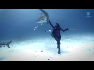 girl dancing with tiger sharks